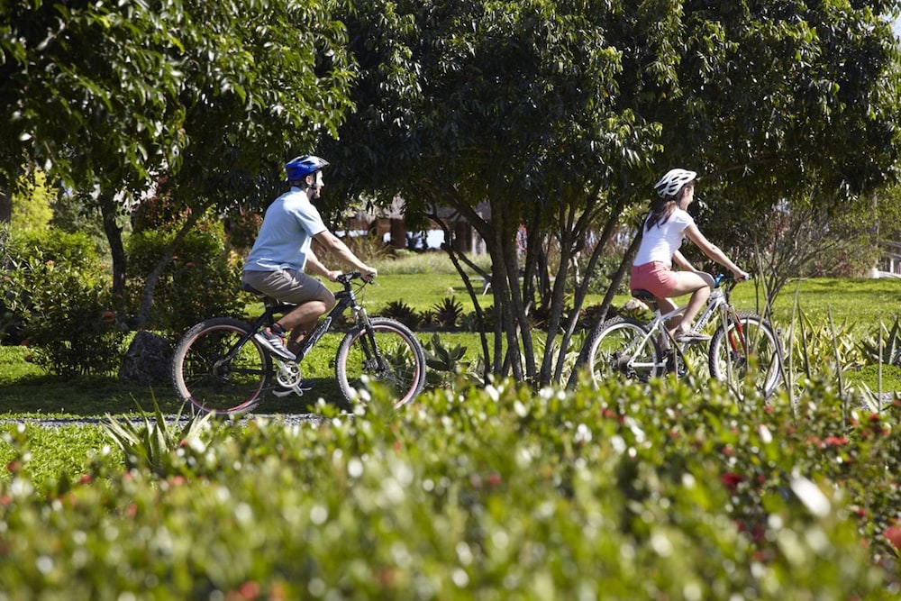 bluewater panglao beach resort