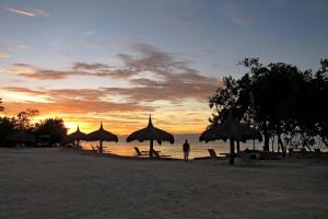 bluewater panglao beach resort
