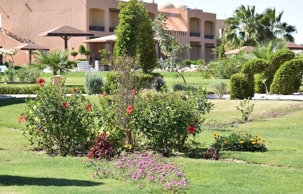 wadi lahmy azur resort