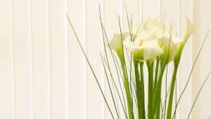 budget host golden wheat motel