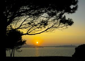 aparthotel attica 21 as galeras