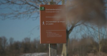 haje restaurant de aalscholver