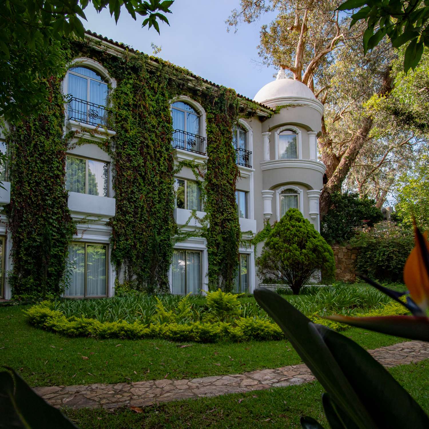 hilton guatemala city