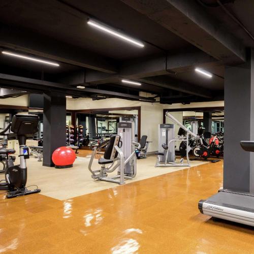 hilton guatemala city
