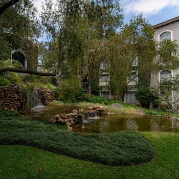 hilton guatemala city