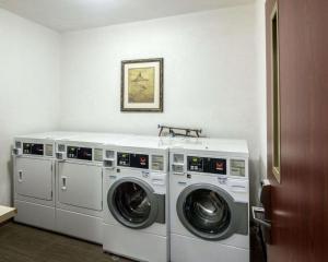 comfort suites gainesville