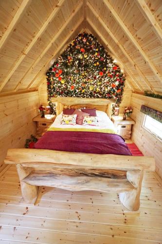 kits coty glamping