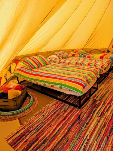kits coty glamping
