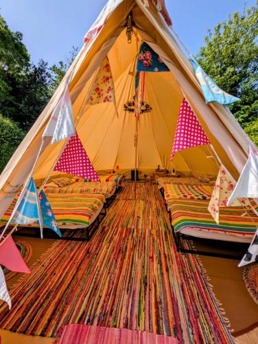 kits coty glamping