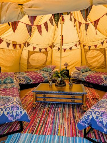 kits coty glamping