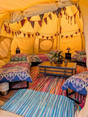 kits coty glamping