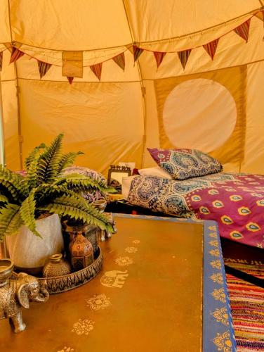 kits coty glamping