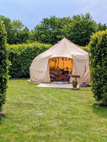 kits coty glamping