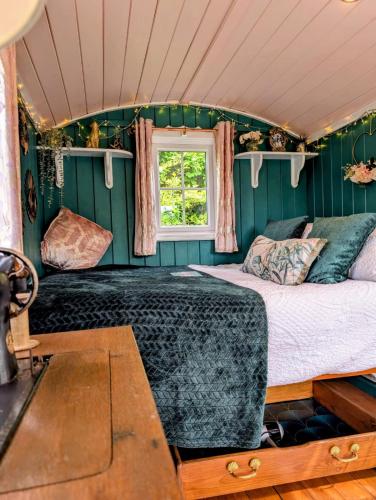 kits coty glamping