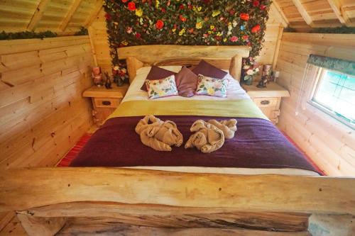 kits coty glamping