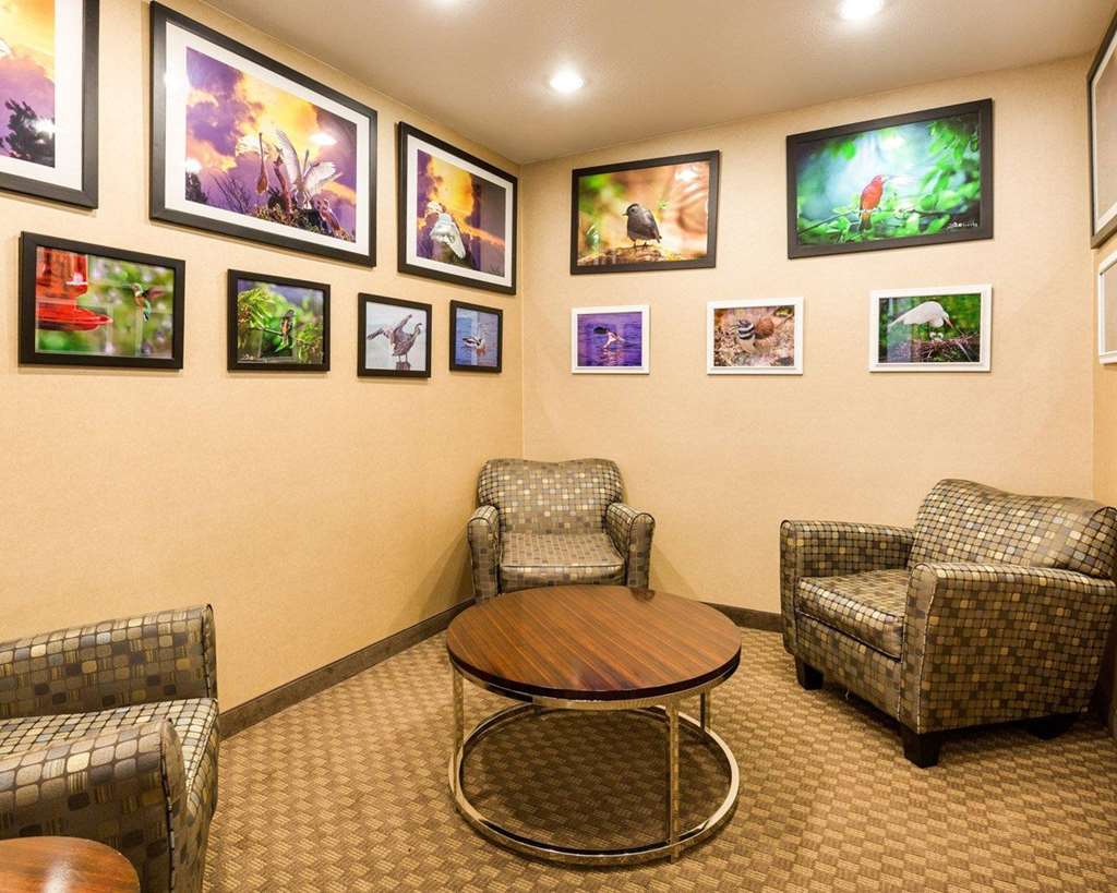 comfort inn and suites winnie