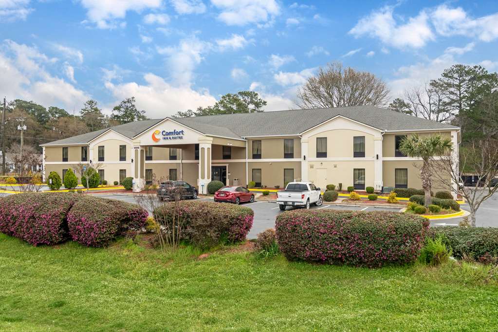 comfort inn and suites griffin