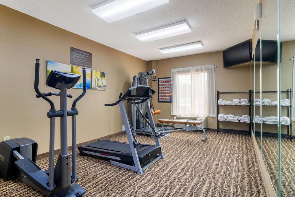 comfort inn and suites griffin