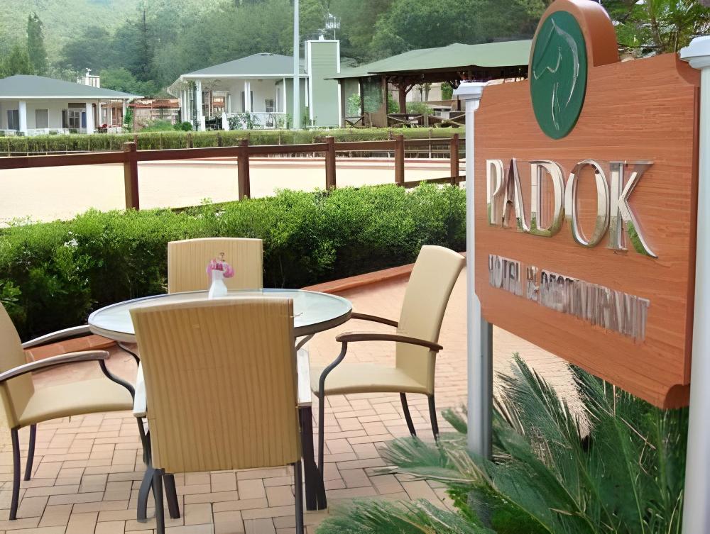 padok premium hotel and stables
