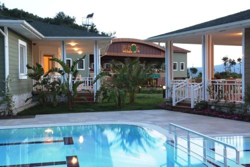 padok premium hotel and stables