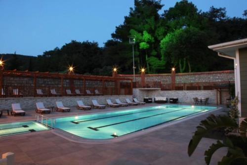 padok premium hotel and stables