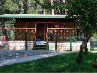 hotel greenland all inclusive
