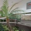 hotel express vieiralves