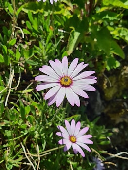 mansfield house hotel