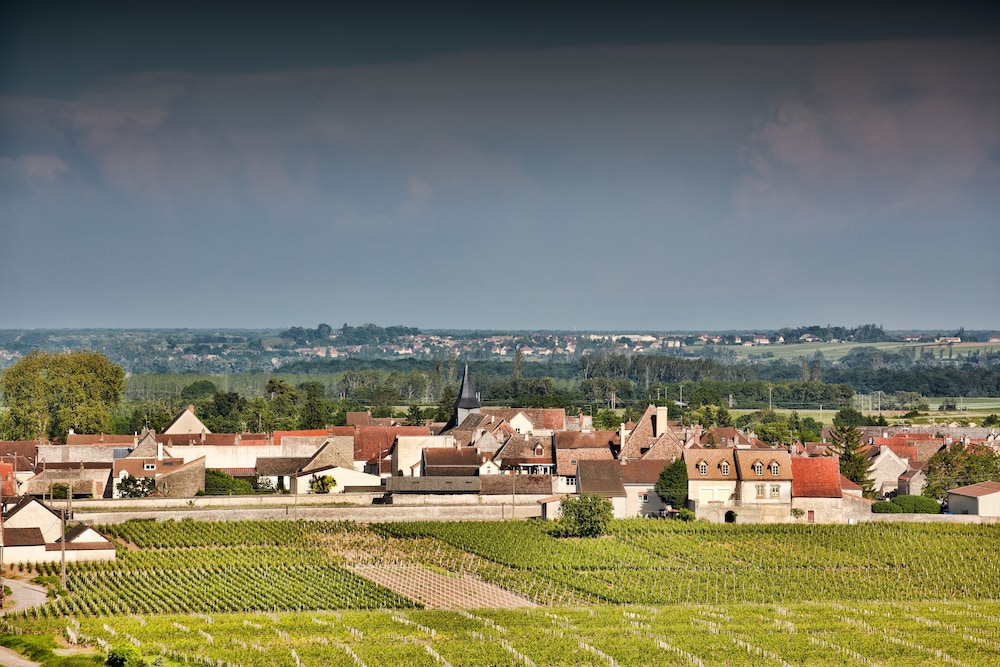 puligny montrachet