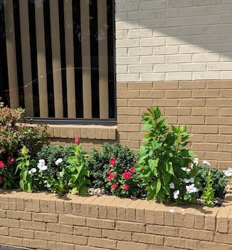 loyalty inn rockingham