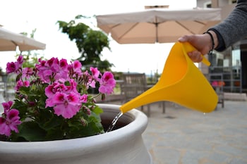 ellopia point hotel