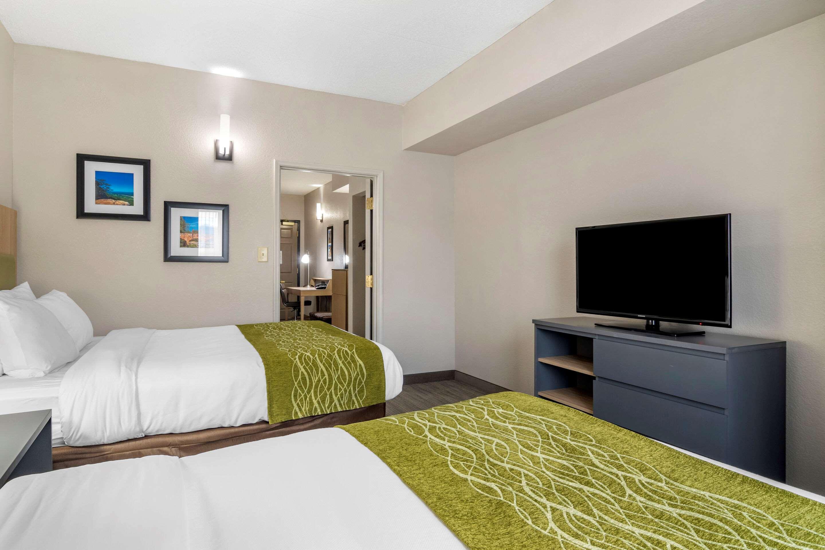 comfort inn and suites calhoun south