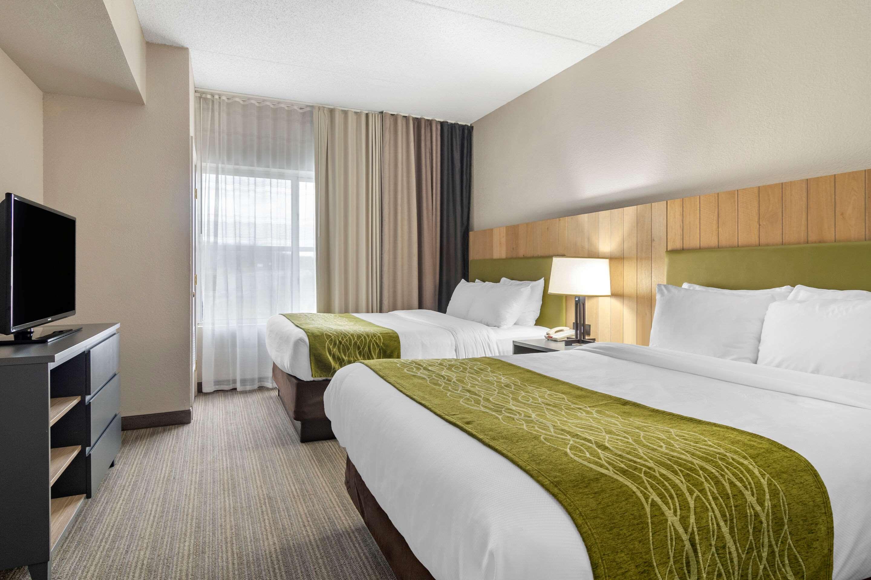 comfort inn and suites calhoun south