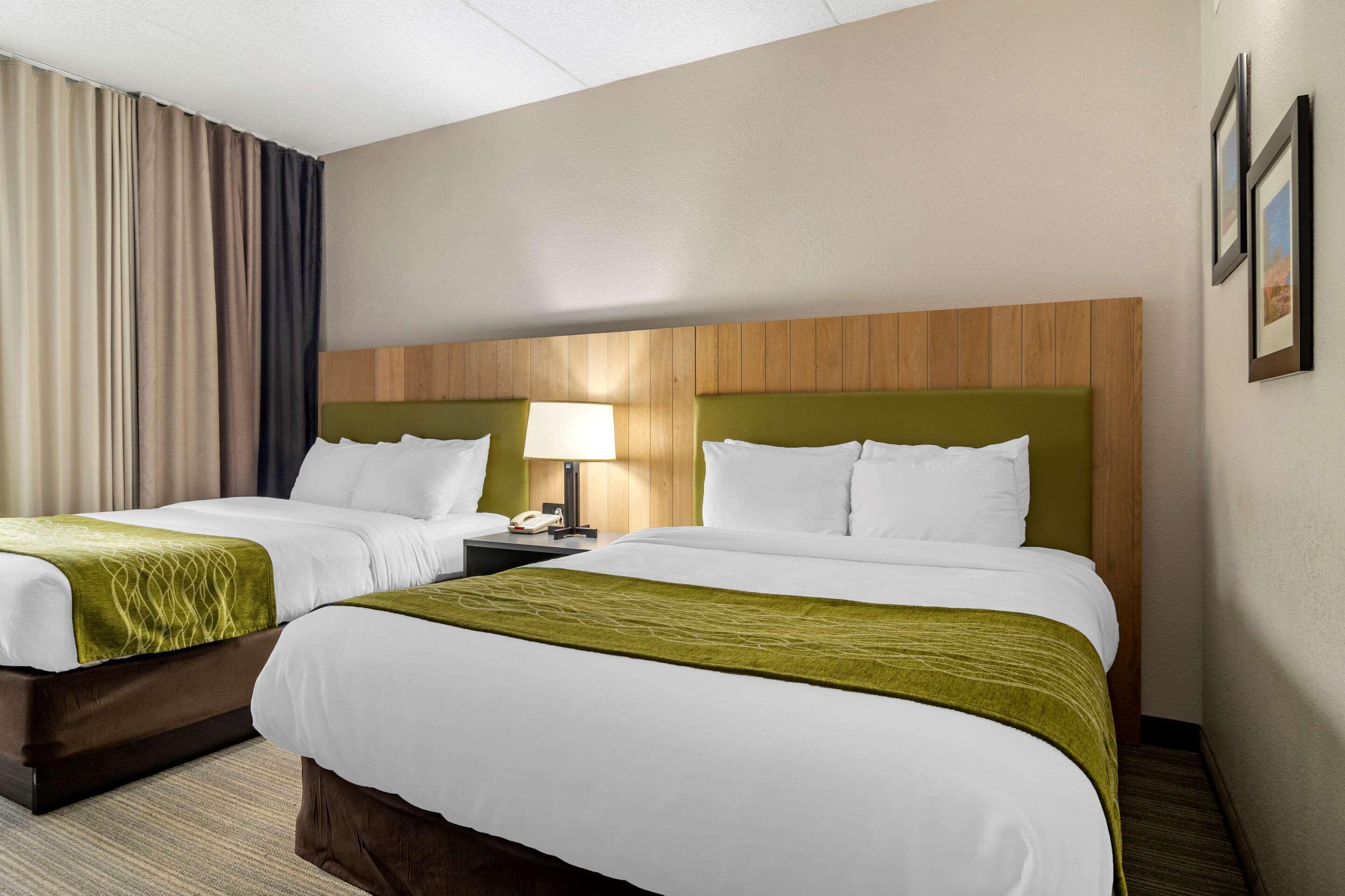 comfort inn and suites calhoun south