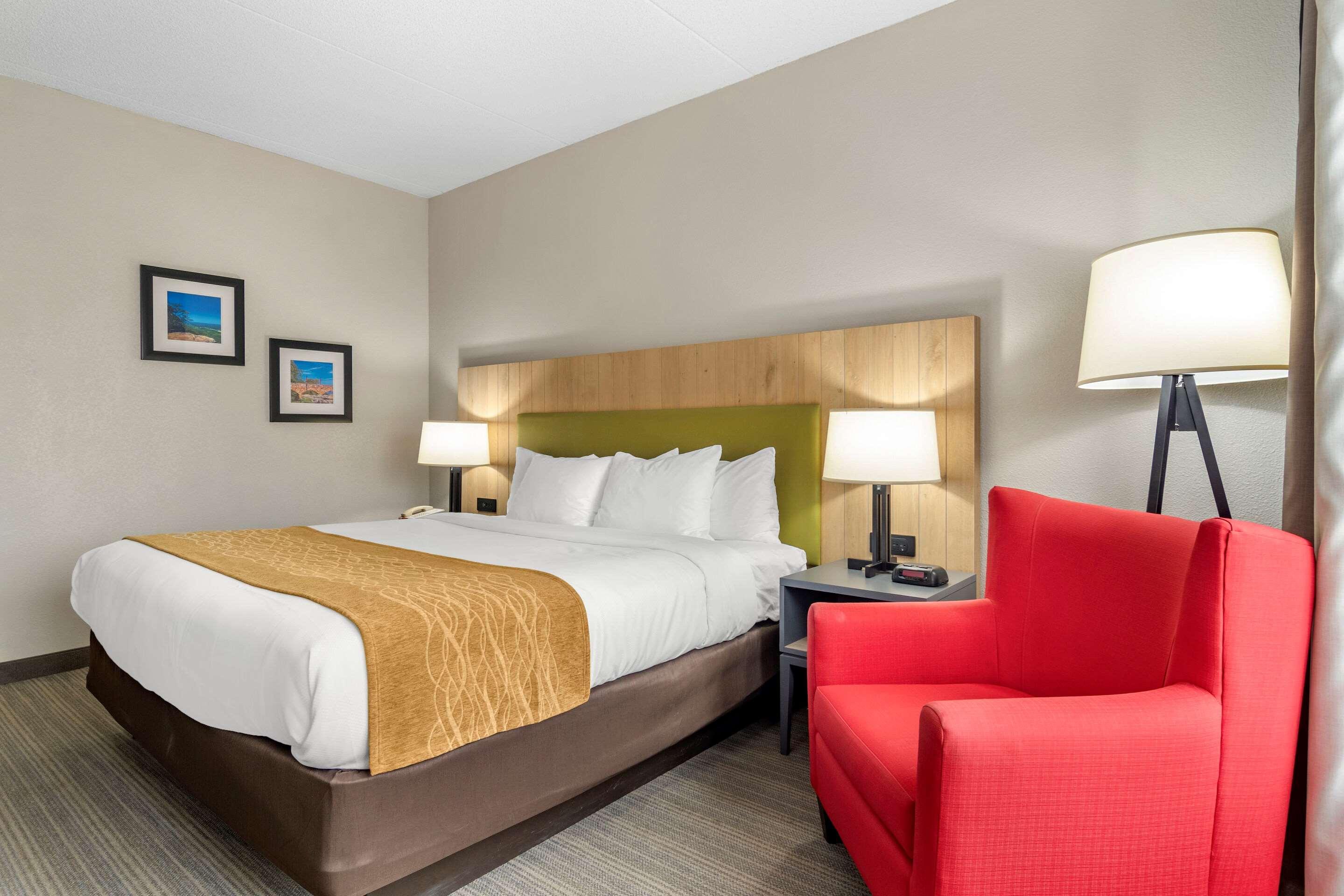 comfort inn and suites calhoun south