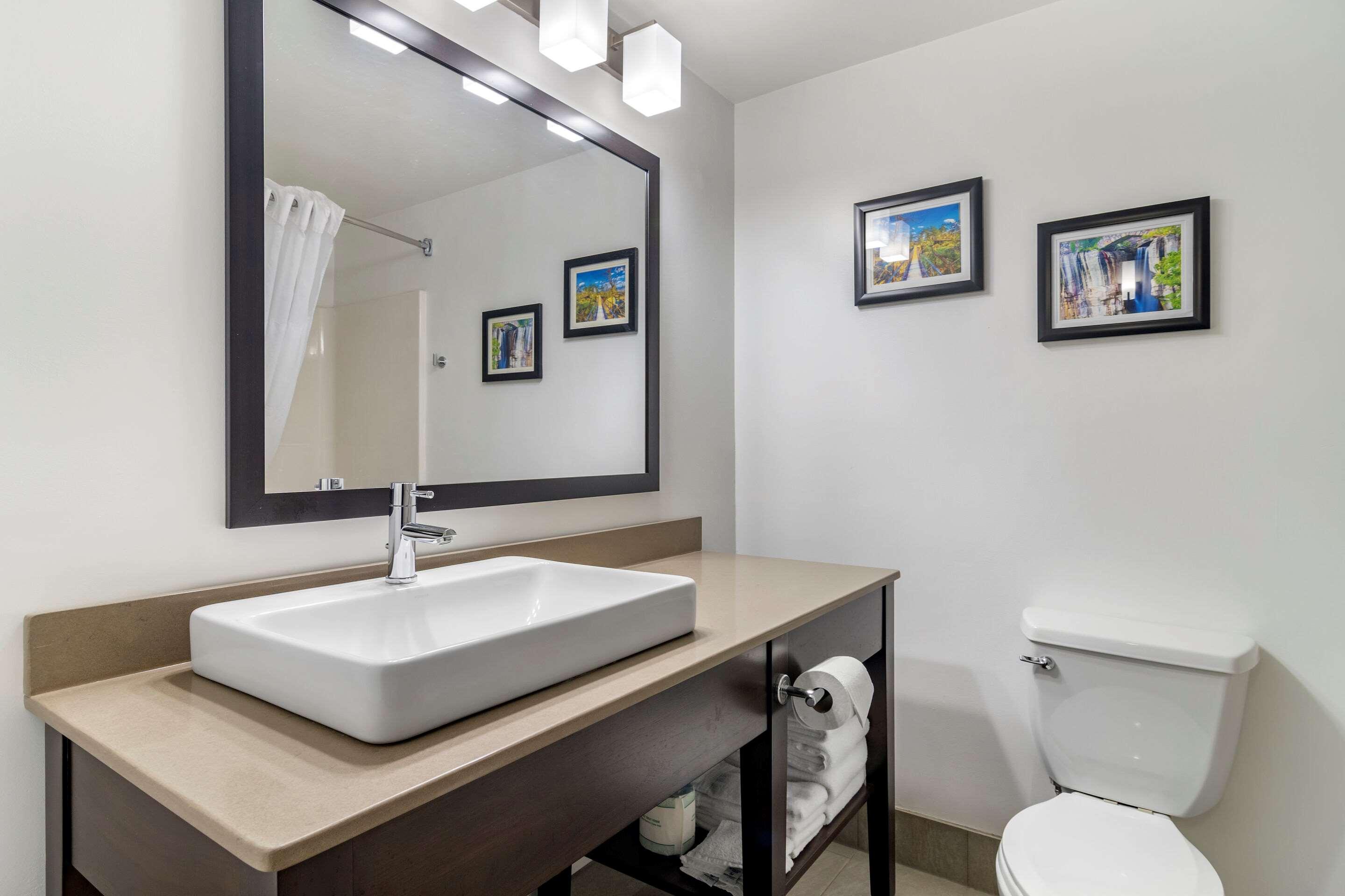 comfort inn and suites calhoun south