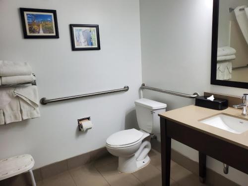 comfort inn and suites calhoun south
