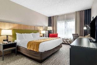 comfort inn and suites calhoun south