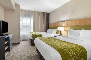 comfort inn and suites calhoun south