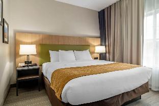 comfort inn and suites calhoun south