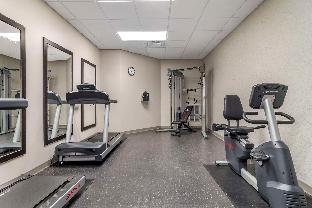 comfort inn and suites calhoun south