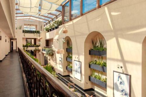 san cristobal de las casas