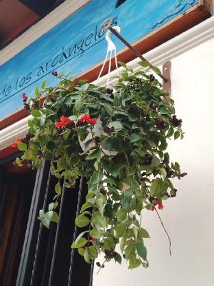 casa de los arcangeles