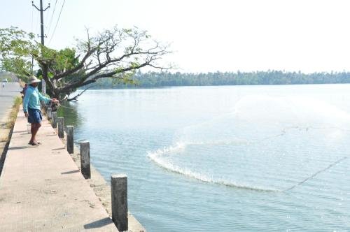 cochin