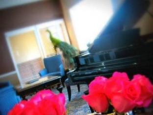 american inn north kansas city