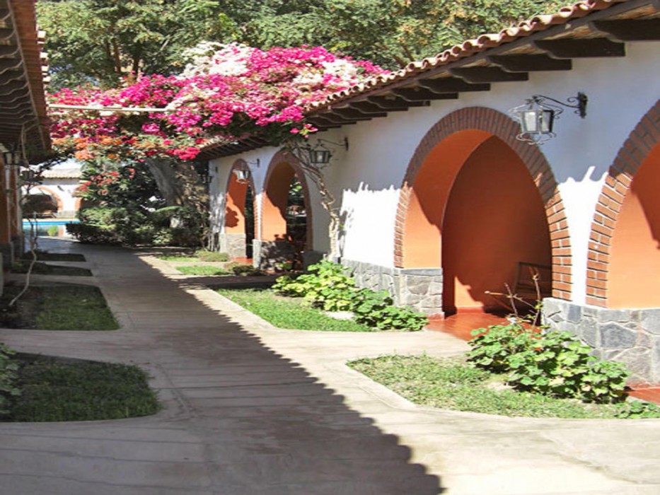 vista alegre