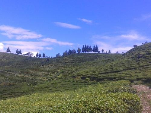 kalimpong
