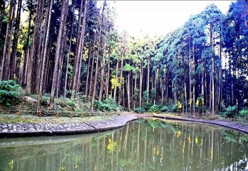 kalimpong