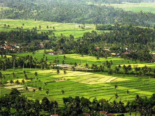 margo utomo hill view resort