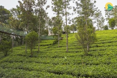 munnar